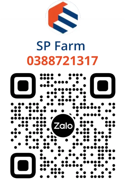 0388721317